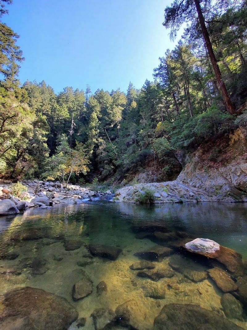Garden of Eden – Henry Cowell Redwood State Park, Felton, California