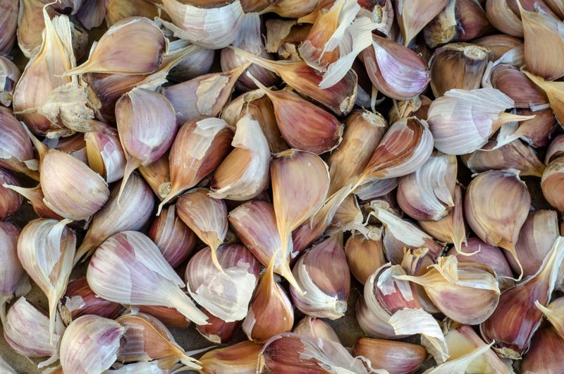 Garlic Garlic