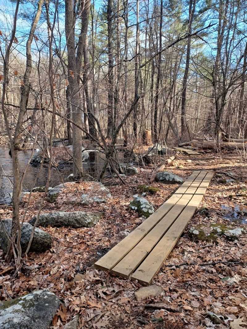 Gear and Footwear Recommendations for the Trail