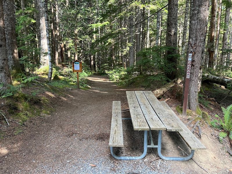Gear and Supplies Every Hiker Should Bring
