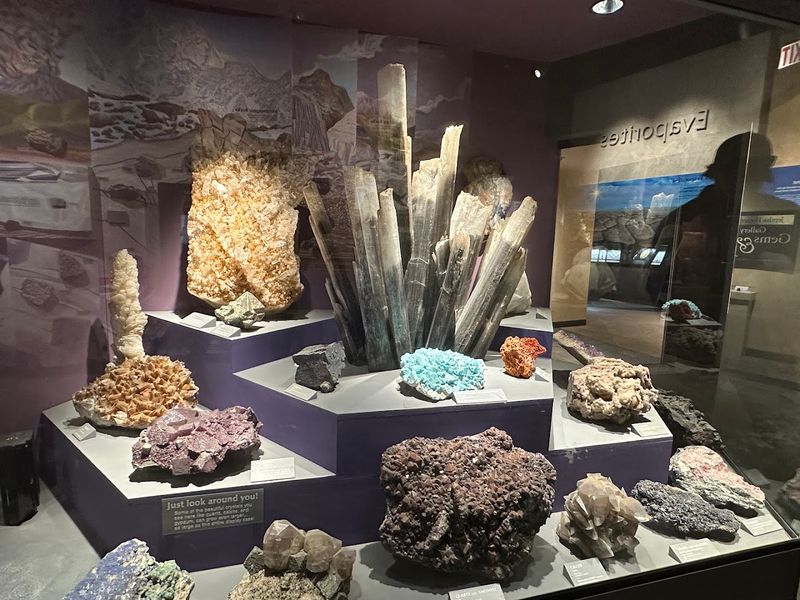 Geological Specimens and Fossil Collections Worth Examining
