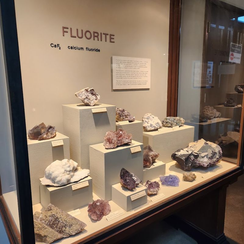 Geology Enthusiasts Will Find a True Treasure Trove