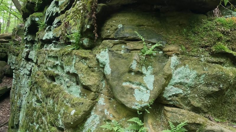 George Washington Carved in Stone George Washington Carved in Stone