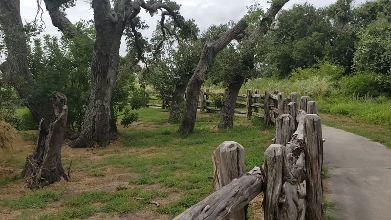 Getting There: Directions and What to Expect