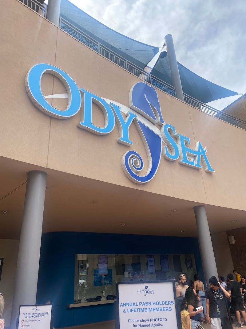 Getting There: Location and Parking at OdySea