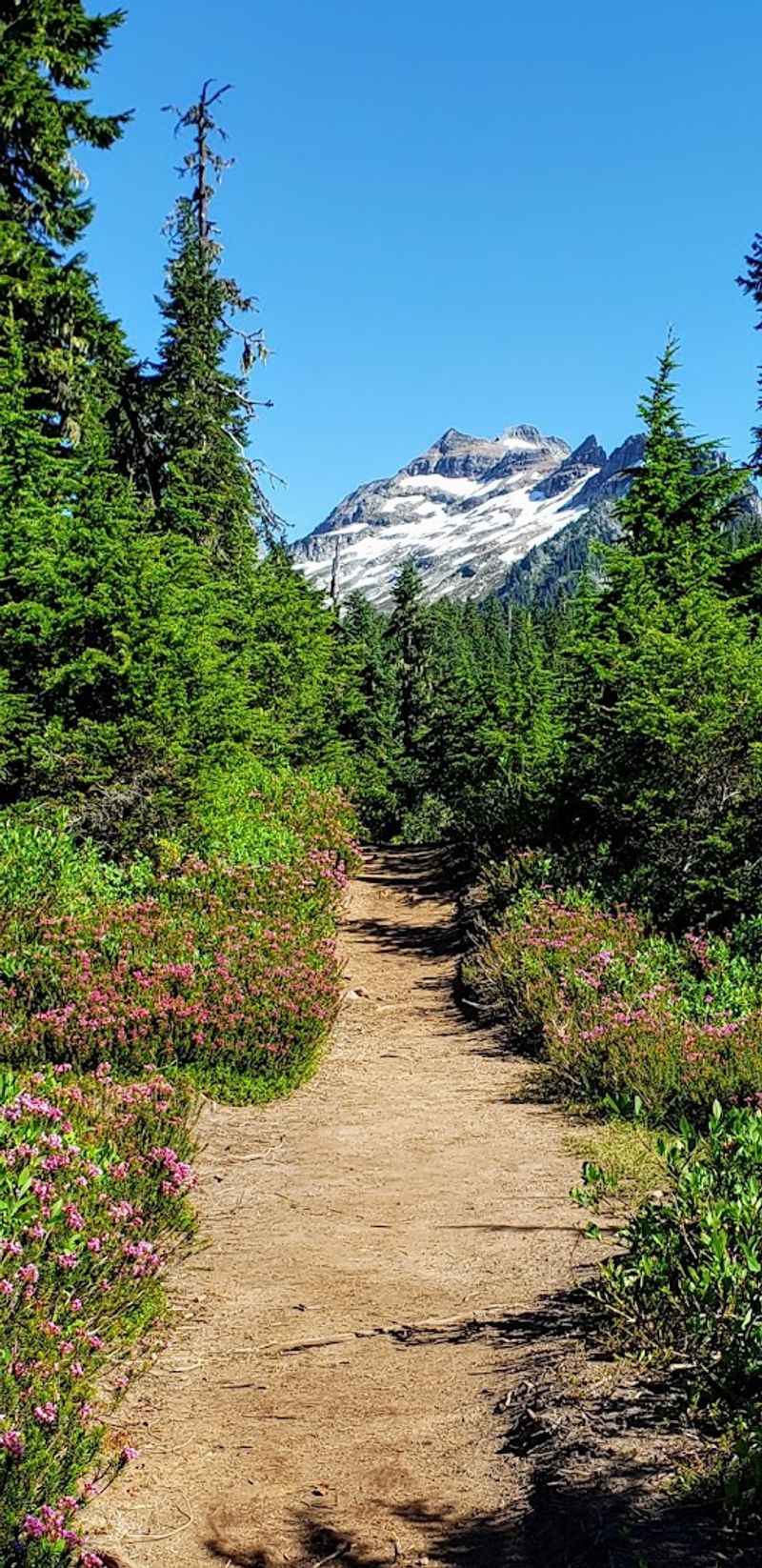 Getting to the Trailhead and What to Expect