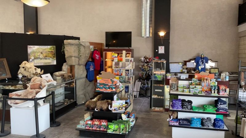 Gift Shop Full of Dinosaur Treasures Gift Shop Full of Dinosaur Treasures