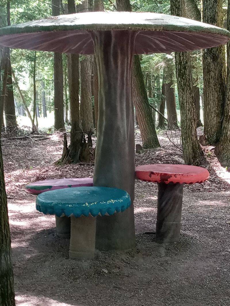 Gift Shop and Picnic Area for the Full Experience Gift Shop and Picnic Area for the Full Experience