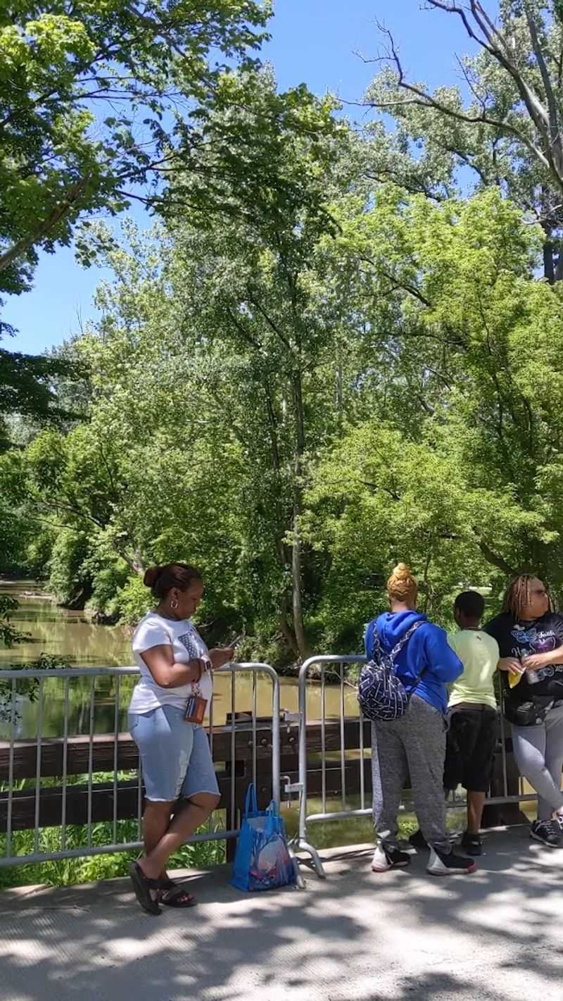 Go Ape Treetop Adventure for Warm-Weather Thrills Go Ape Treetop Adventure for Warm-Weather Thrills
