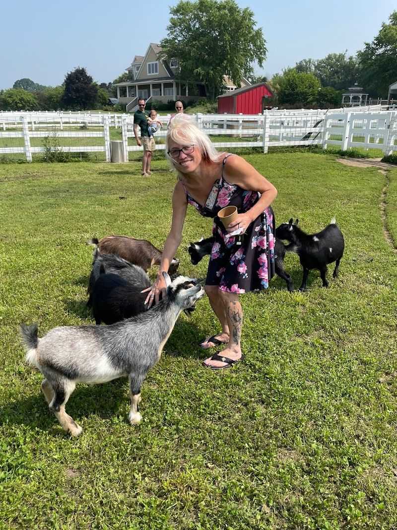 Goat Yoga Happens Here in the Summer