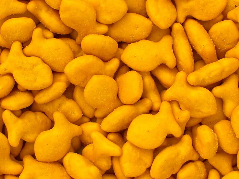 Goldfish Goldfish