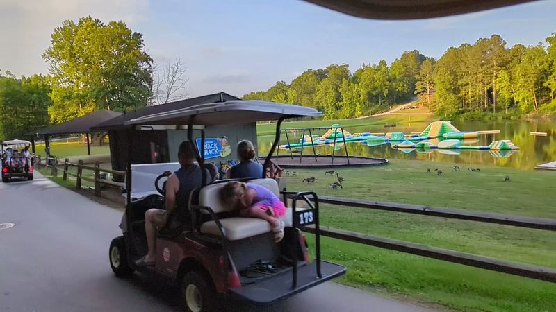 Golf Carts: The Unofficial Transportation System of the Park Golf Carts: The Unofficial Transportation System of the Park