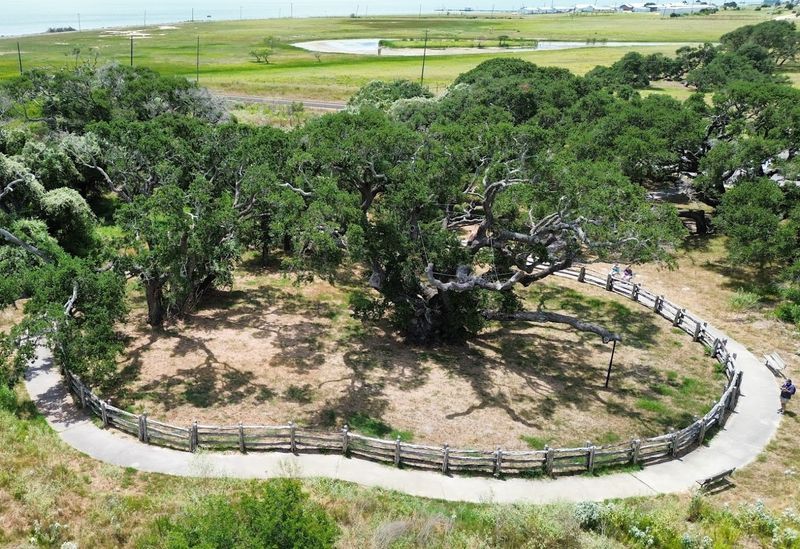 Goose Island State Park: The Perfect Setting