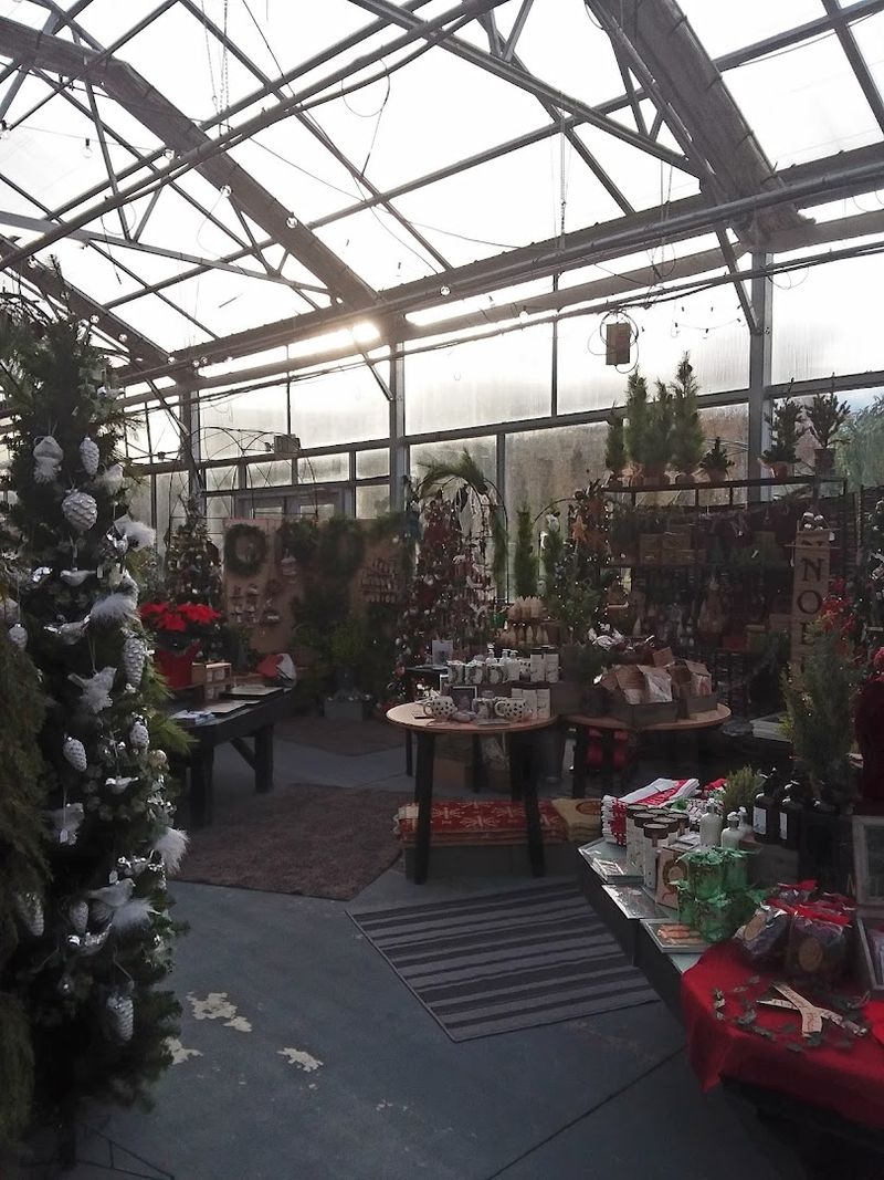 Gorgeous Holiday Market in the Greenhouse Gorgeous Holiday Market in the Greenhouse