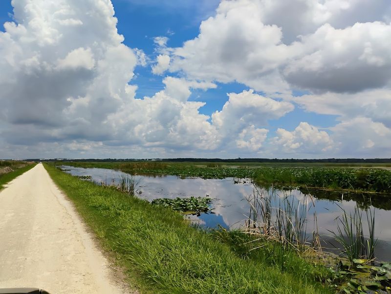 Gorgeous Marshlands and Stunning Scenery Gorgeous Marshlands and Stunning Scenery