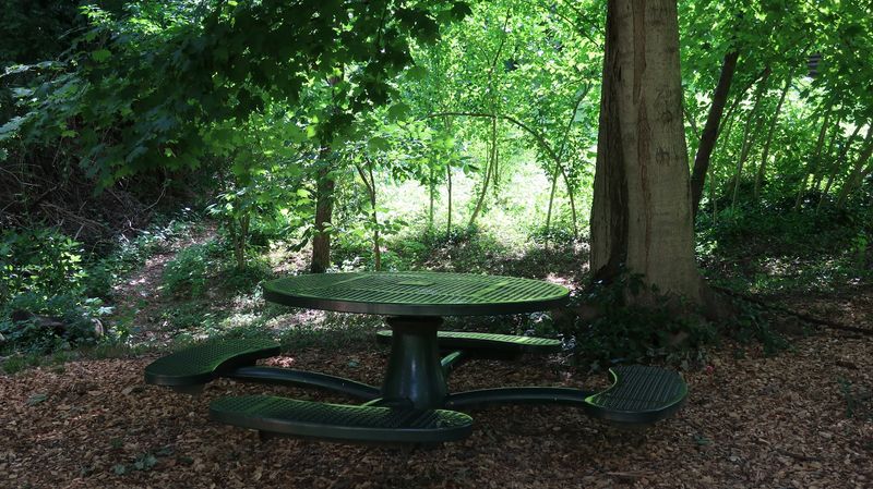 Gorgeous Natural Shade That Makes Every Visit Comfortable