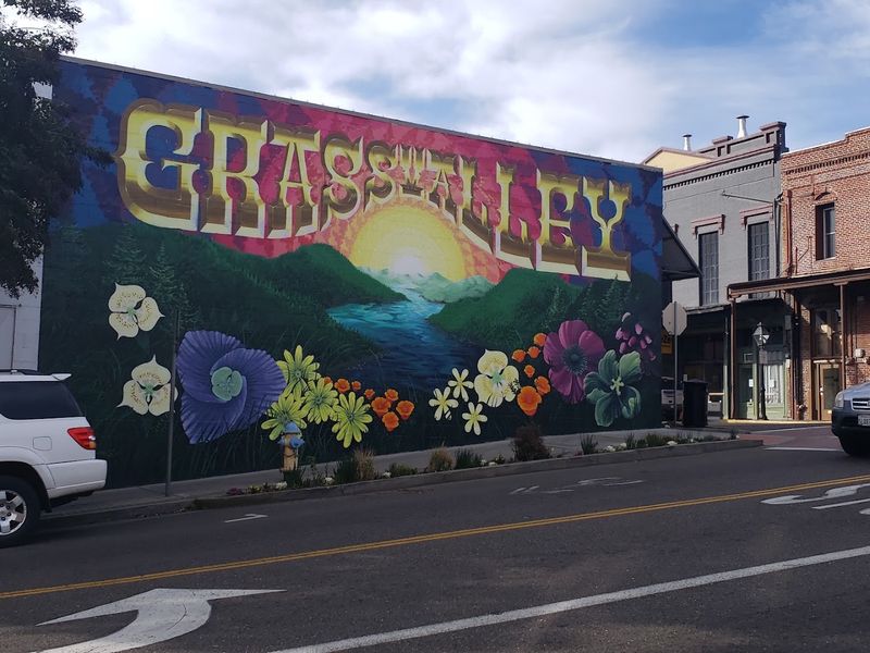 Grass Valley's Vibrant Arts Community