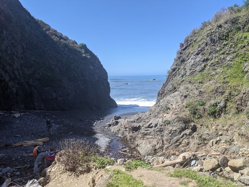 Gray Whale Watching in Winter