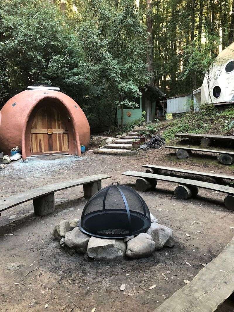 Growing Up Wild: Nature Education Right on Site