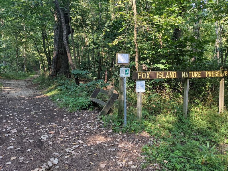 Guided Hikes Led By Knowledgeable Park Naturalists