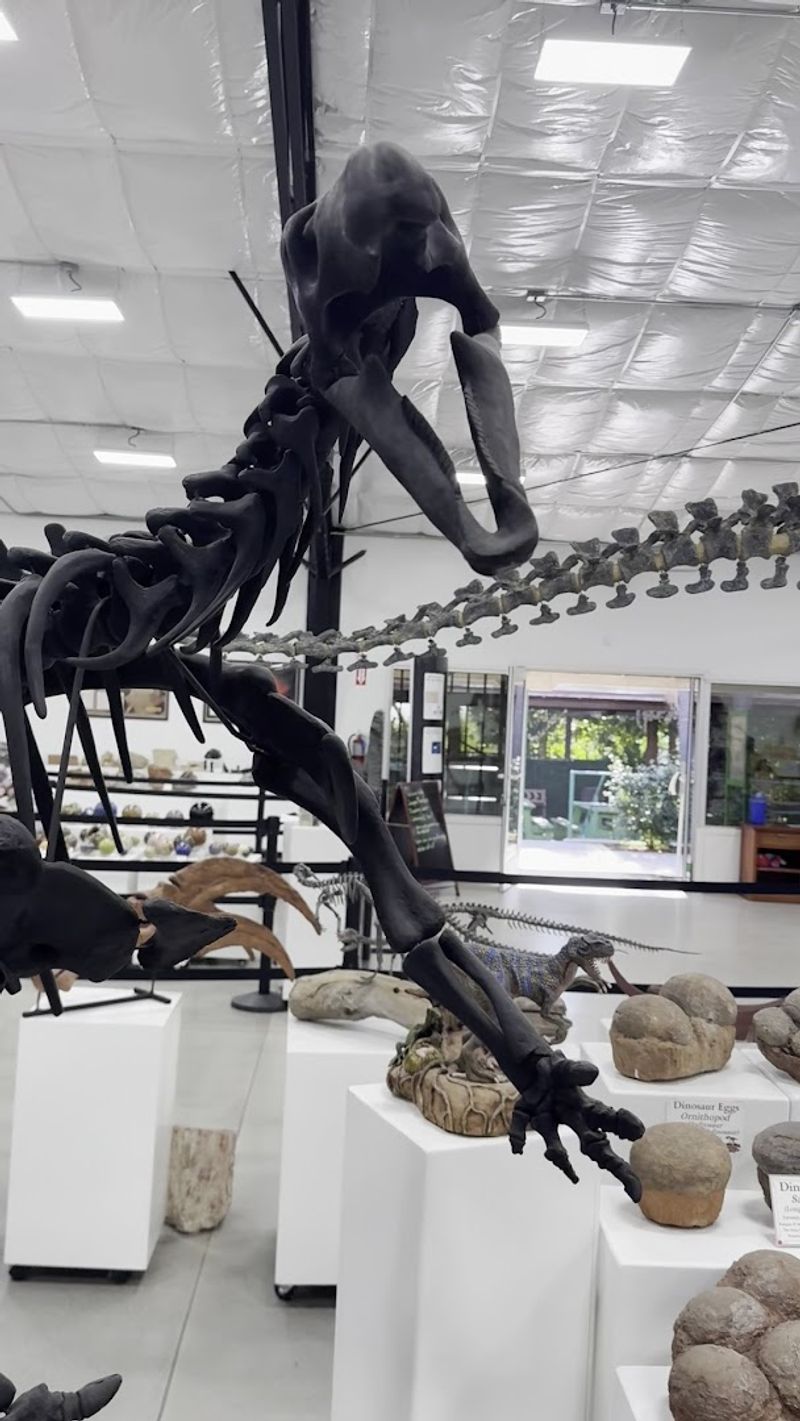Guided Rock and Fossil Collecting Tours Guided Rock and Fossil Collecting Tours