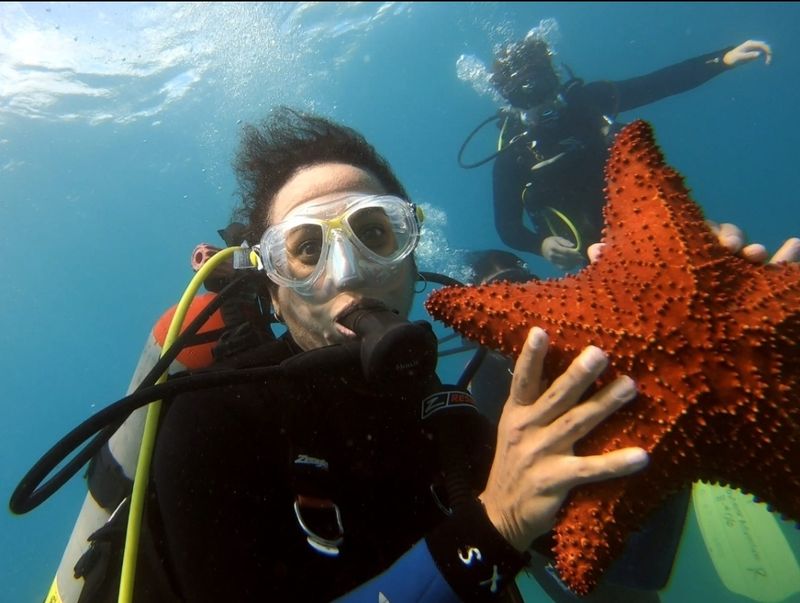 Guided Snorkel Tours Available at the Park
