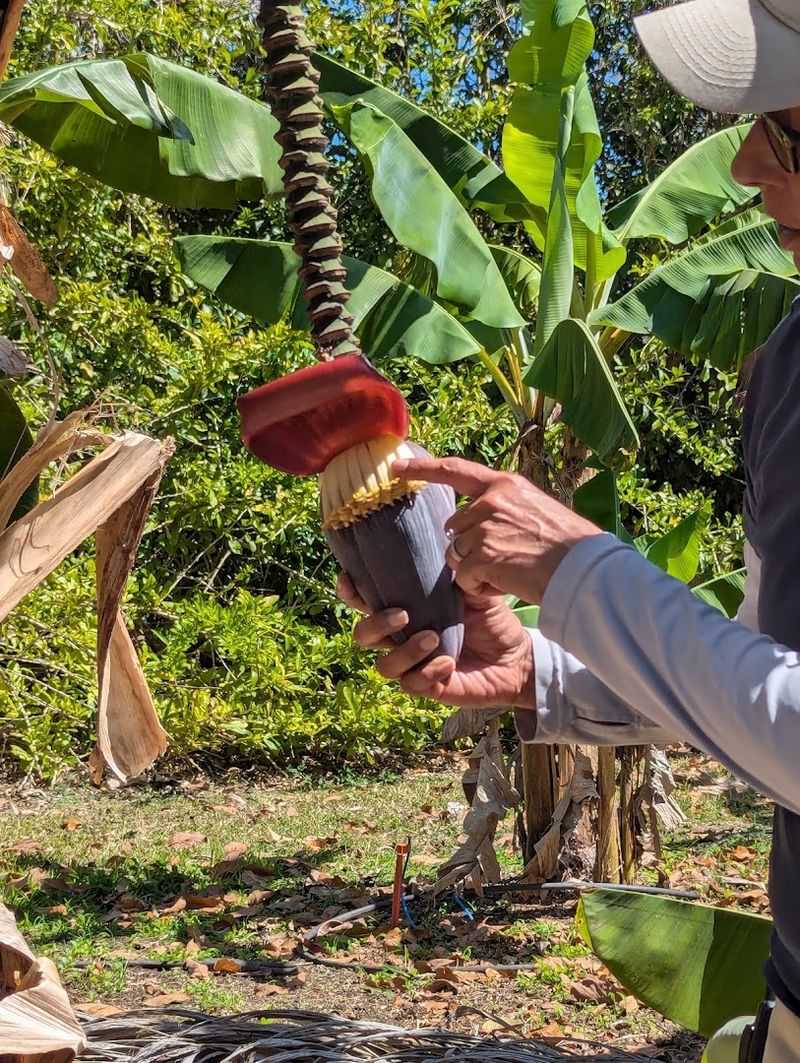 Guided Tasting Tours That Teach You Something New Guided Tasting Tours That Teach You Something New