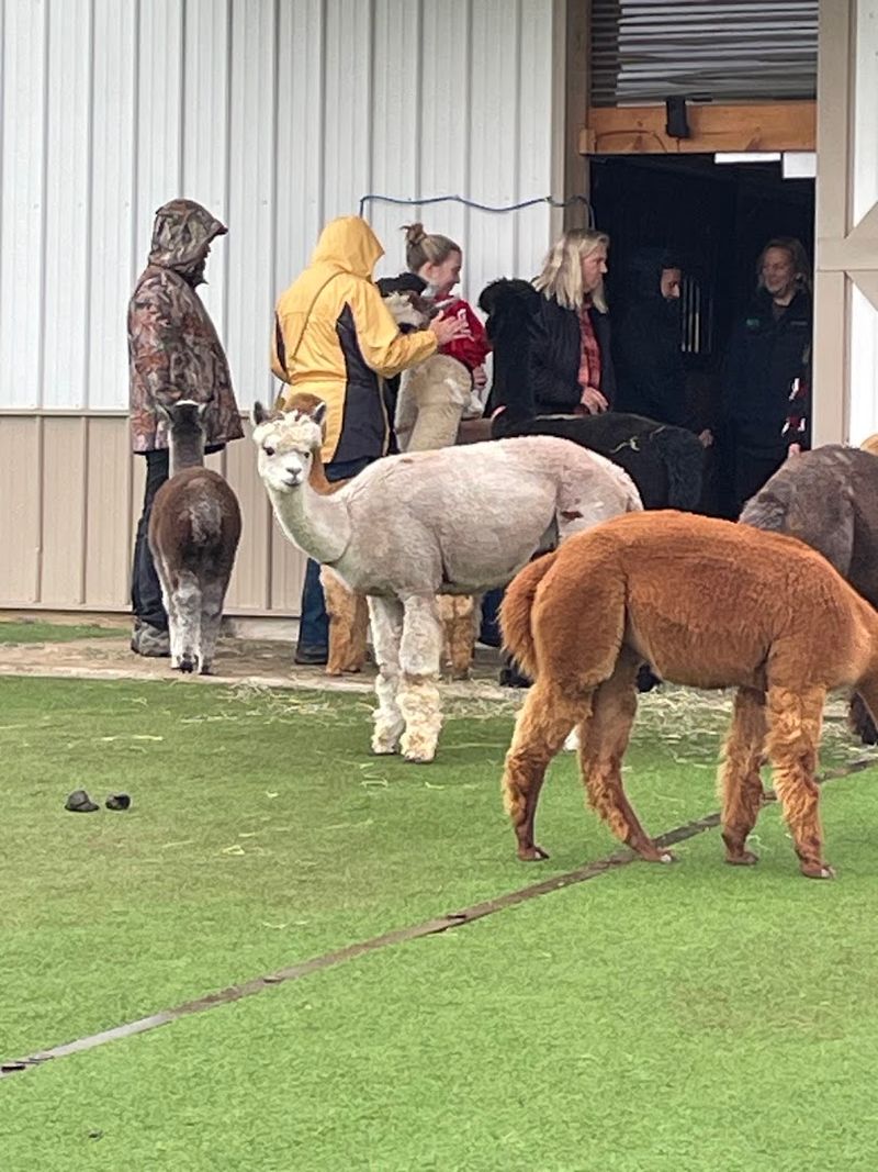 Guided Tours Bring the Farm to Life