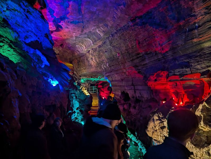 Guided Tours Led by Knowledgeable and Entertaining Guides Guided Tours Led by Knowledgeable and Entertaining Guides