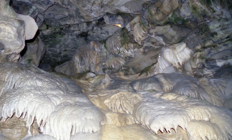 Guided Tours That Make the Science Easy and Fun to Understand Guided Tours That Make the Science Easy and Fun to Understand