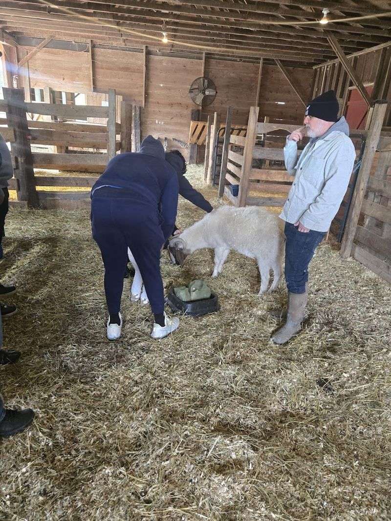 Guided Tours That Tell Each Animal's Rescue Story