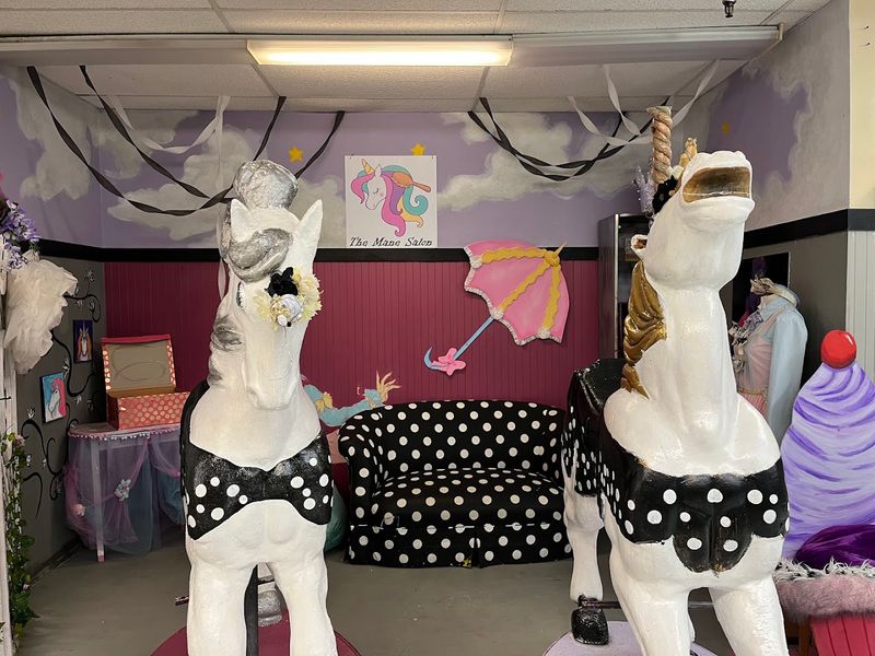 Guinea Pigs, Unicorn Rides, and Live Magic