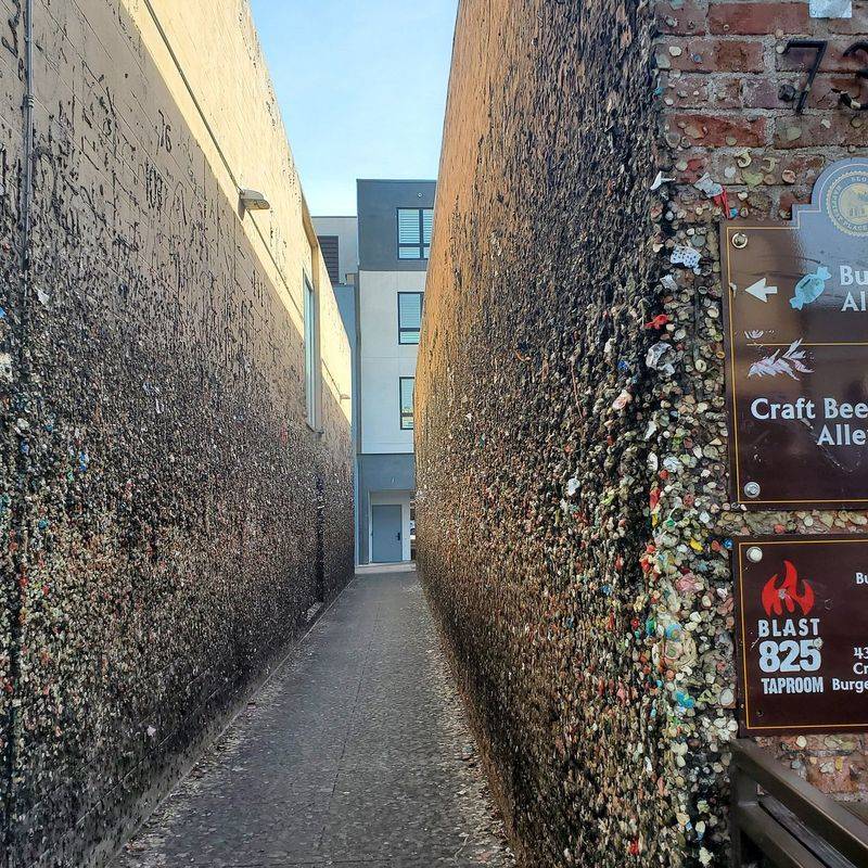 Gum Alley as a Photo Destination