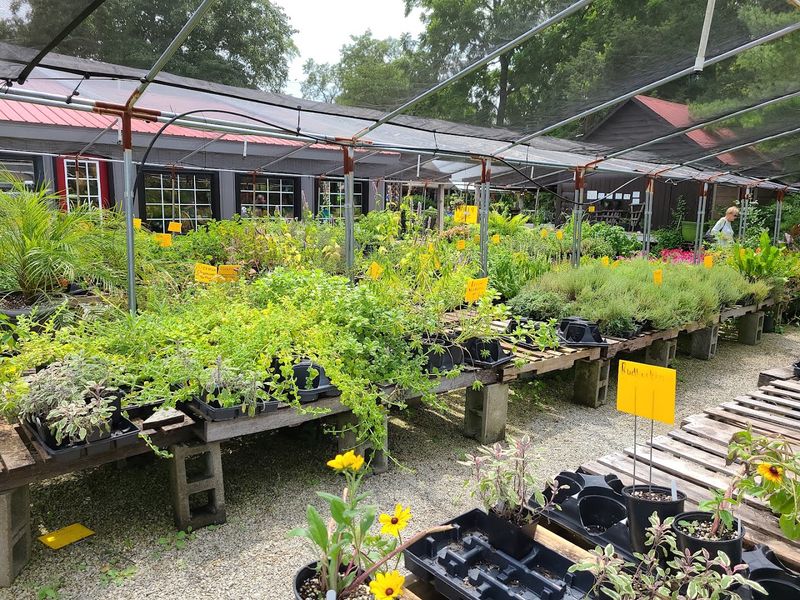 Hands-On Workshops and Classes Worth Booking Early