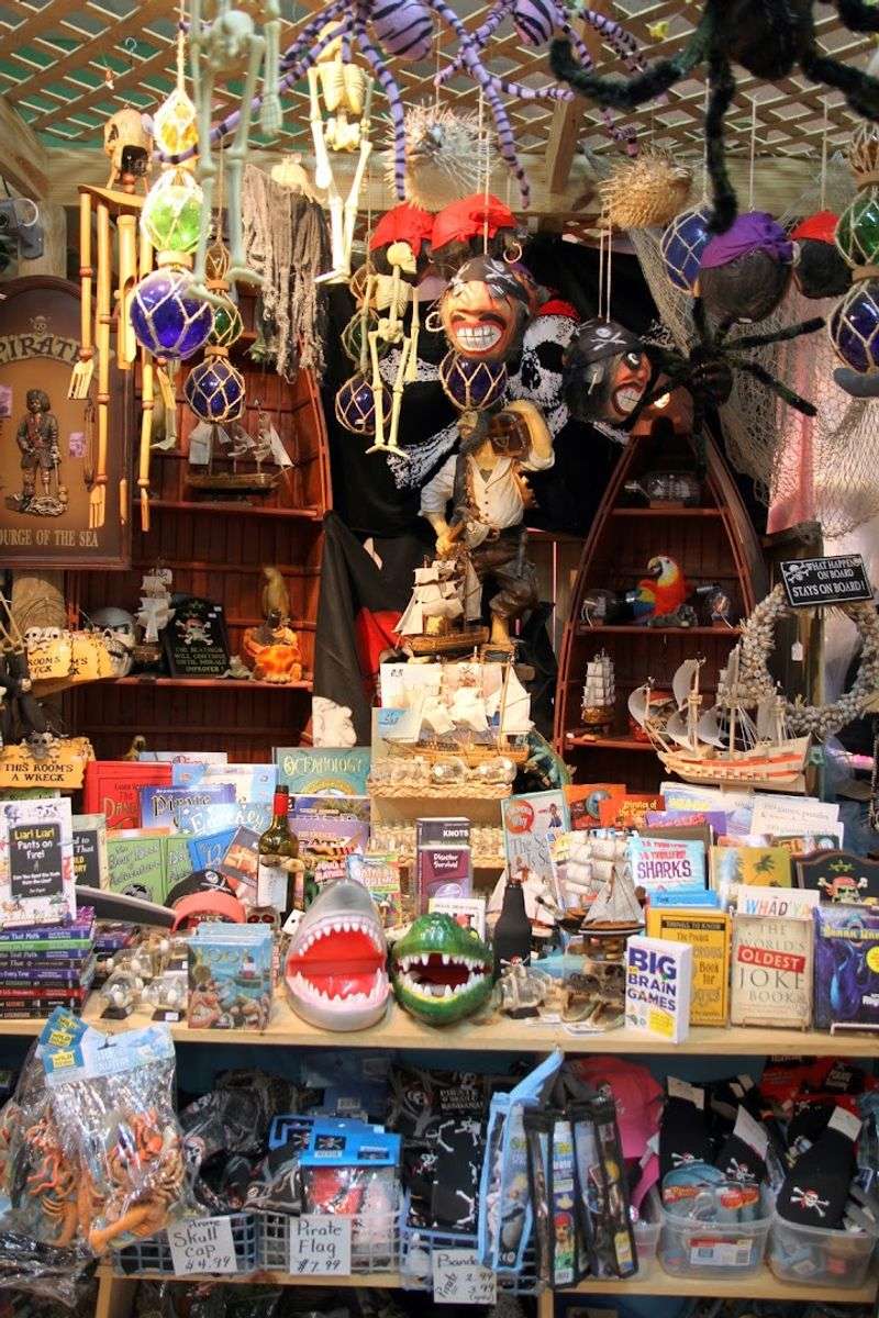 Harry Potter Merchandise for the Wizarding World Fans
