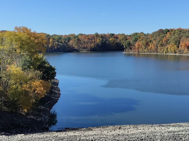 Harsha Lake: The Shimmering Heart of the Park Harsha Lake: The Shimmering Heart of the Park
