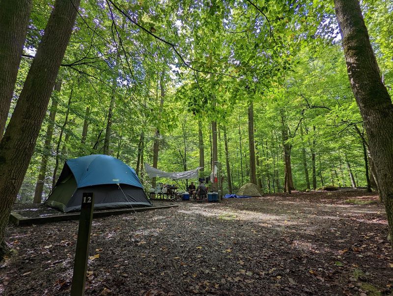 Having the Whole Campground to Yourself Having the Whole Campground to Yourself