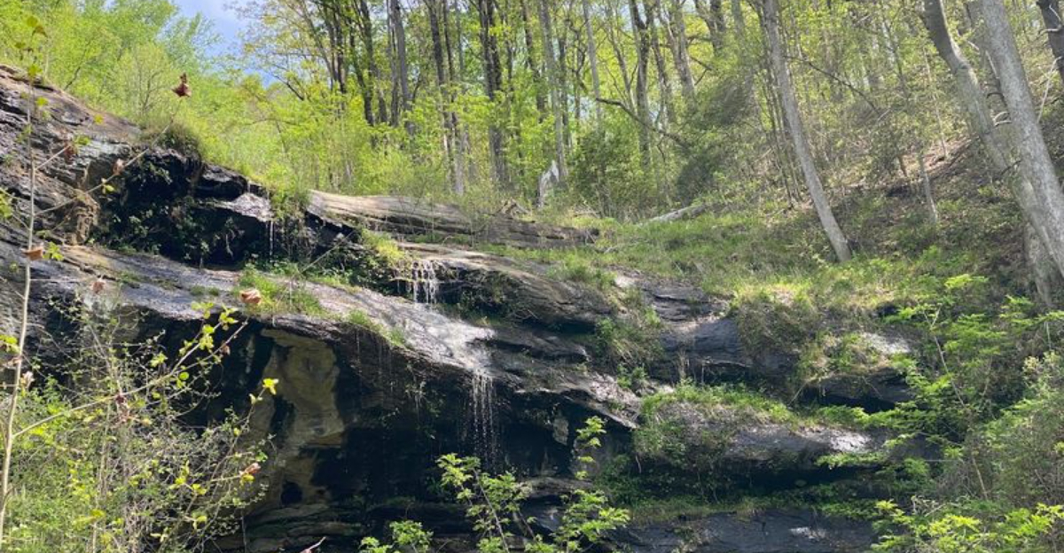 Hidden Deep In A North Carolina Forest Is A Stunning Cliff Most People Never Discover