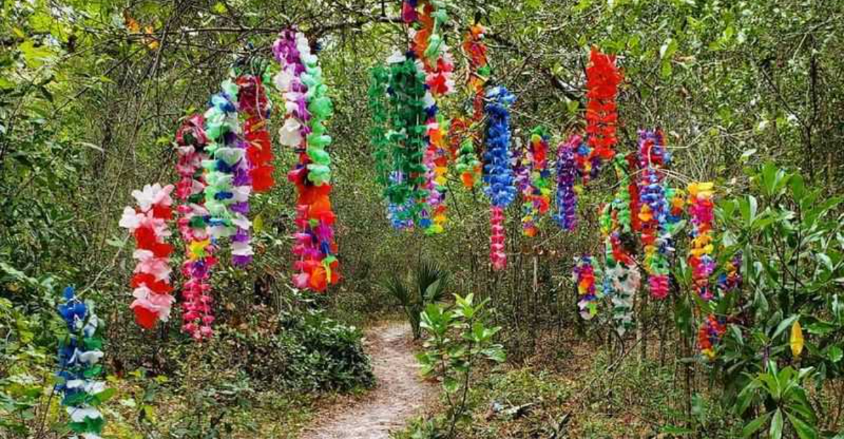 Hidden Fairy Gnomes Make This Florida Park Feel Like A Storybook Come To Life