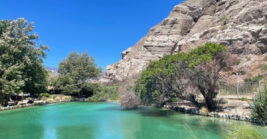 Hidden In California’s Desert Is An Oasis That Looks Almost Impossible