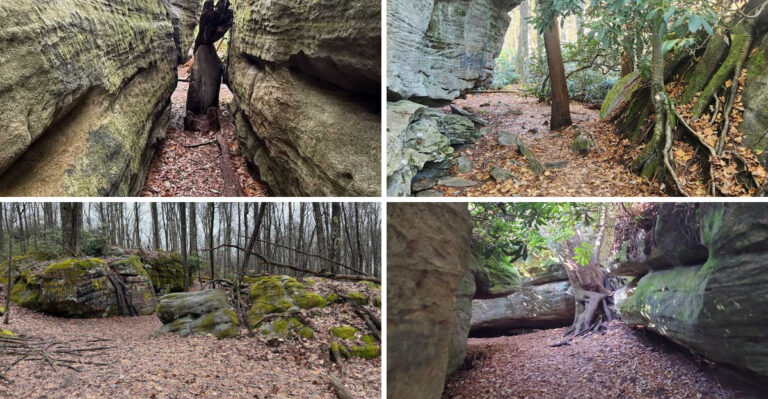 Hidden In Maryland Is A Peaceful Labyrinth That Most Travelers Never Find