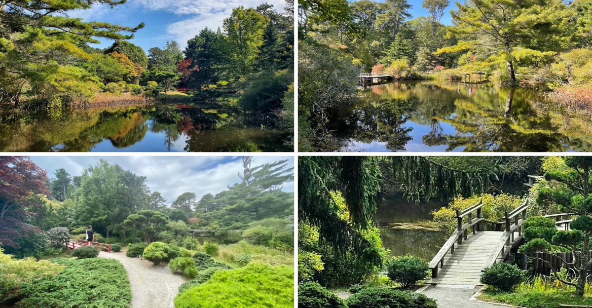 Hidden In Massachusetts Is A Japanese Garden That Feels Almost Dreamlike