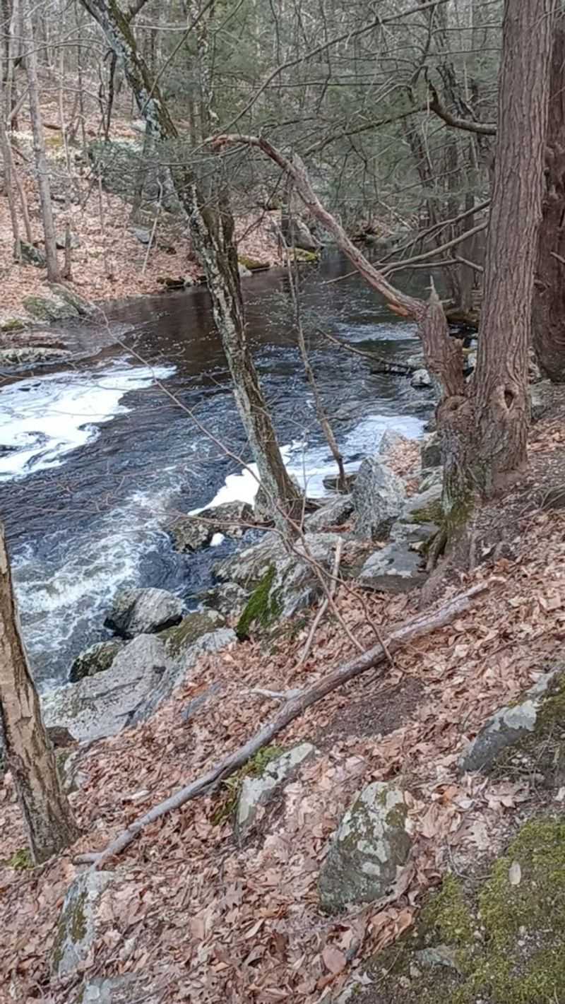 Hidden Rock Art and Community Surprises Along the Path