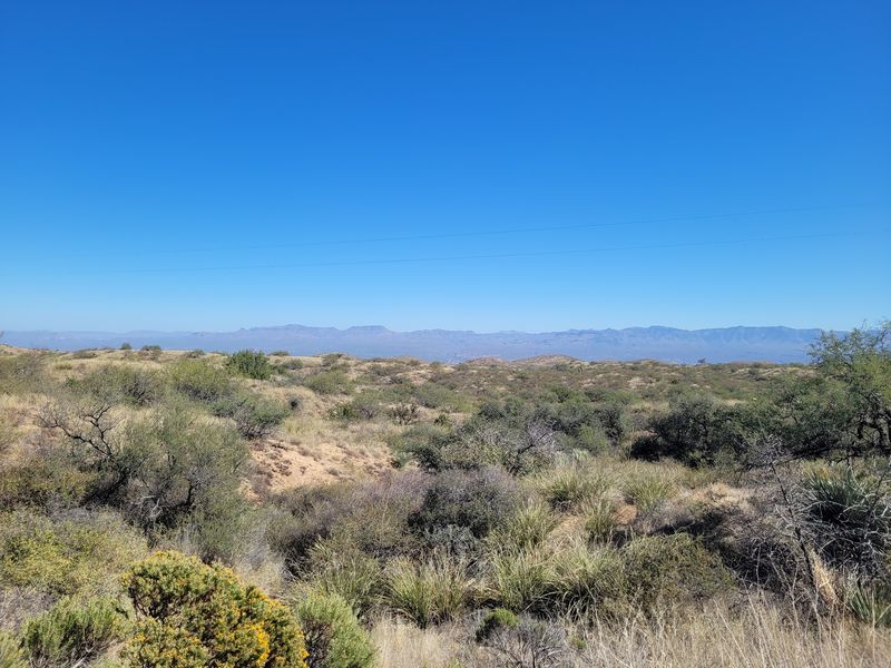Higher Elevation Keeps Things Cooler Than the Desert Below Higher Elevation Keeps Things Cooler Than the Desert Below