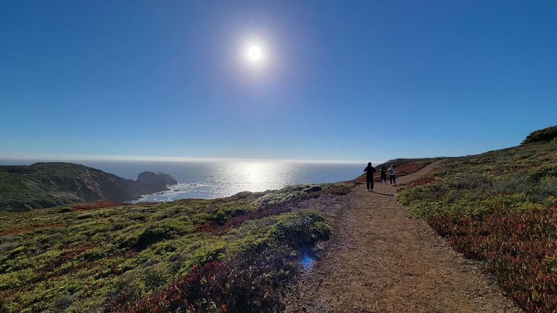 Hike the Dipsea Trail Like a Local Legend