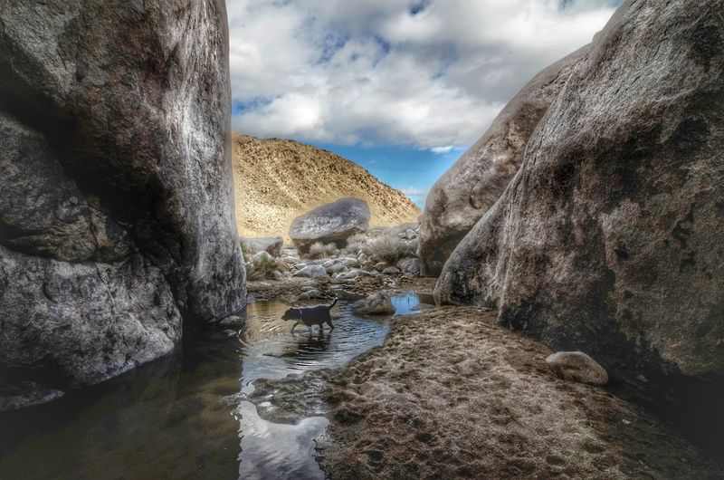 Hiking Around the Pinnacles: Tips for First-Time Visitors Hiking Around the Pinnacles: Tips for First-Time Visitors