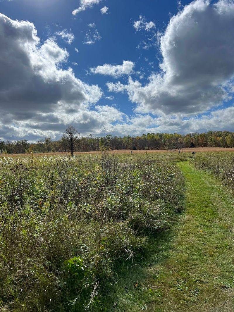 Hiking Club Trail Through Jack Pine Restoration Area