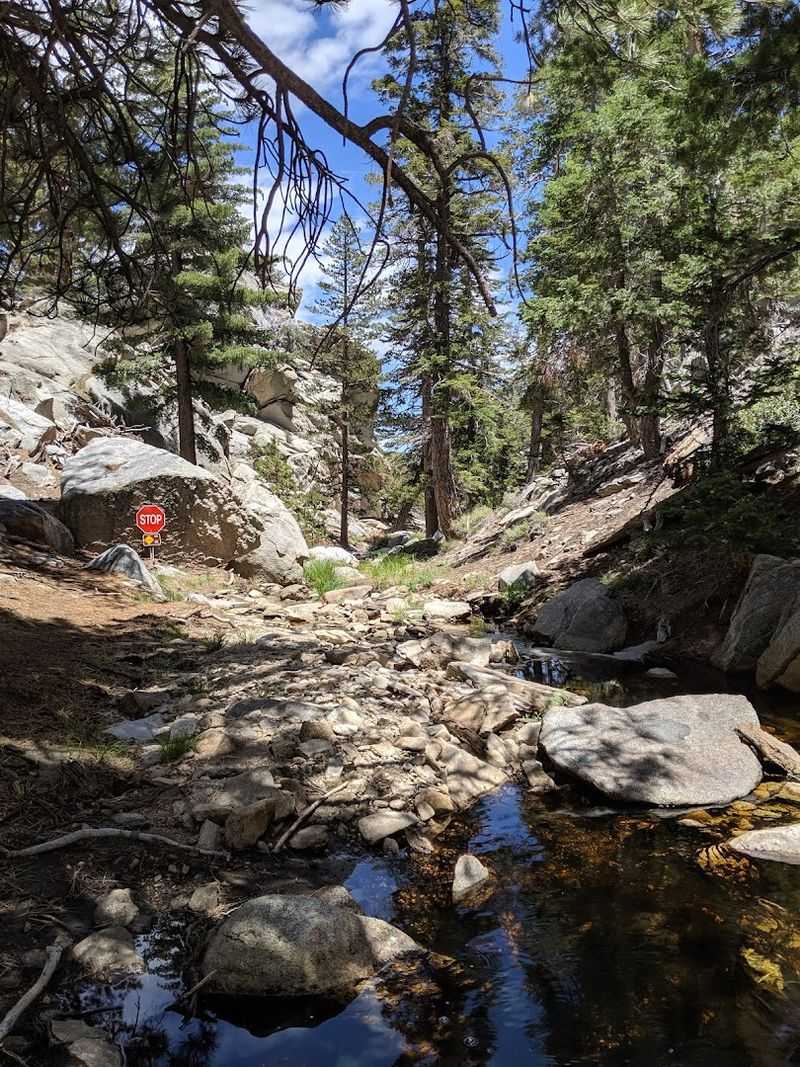 Hiking Trails Hidden Just Off the Road