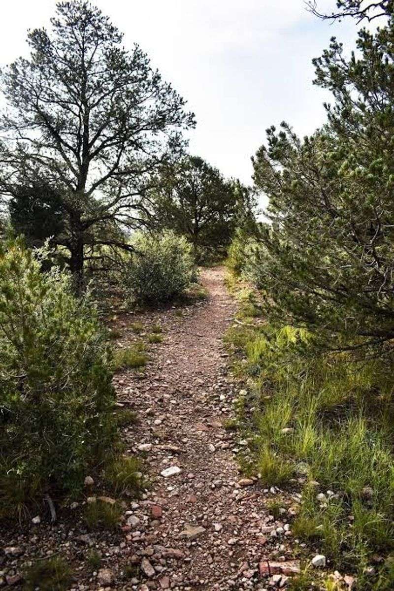 Hiking Trails Right on the Property Hiking Trails Right on the Property