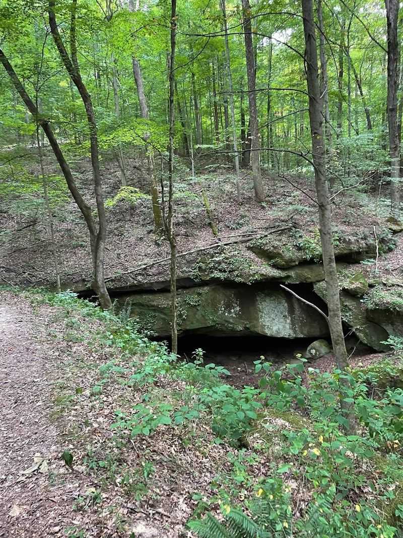 Hiking Trails That Are Rugged, Rewarding, and Totally Worth It Hiking Trails That Are Rugged, Rewarding, and Totally Worth It
